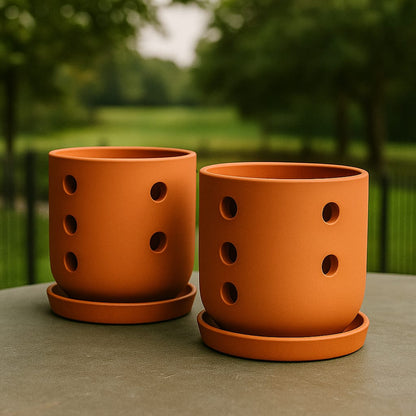 Terracotta Autumn Orchid Planter Small - 4 Inch Pot – Home & Garden on Brown Living™. SKU: PL19-2A. Img 8.