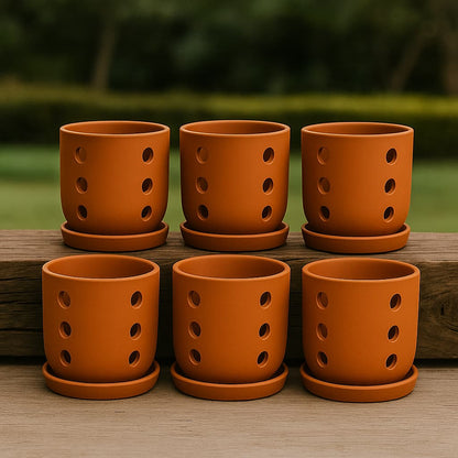 Terracotta Autumn Orchid Planter Small - 4 Inch Pot – Home & Garden on Brown Living™. SKU: PL19-6. Img 13.