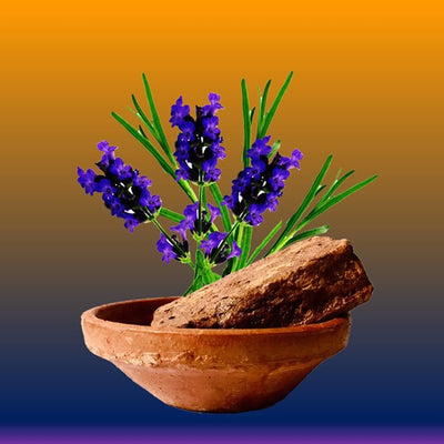 Terracotta Block Aroma Diffuser with Clay Bowl | Red - Lavender Fragrance – Fragrance Diffusers on Brown Living™. SKU: BLSPGTBADREDLVF1. Img 1.