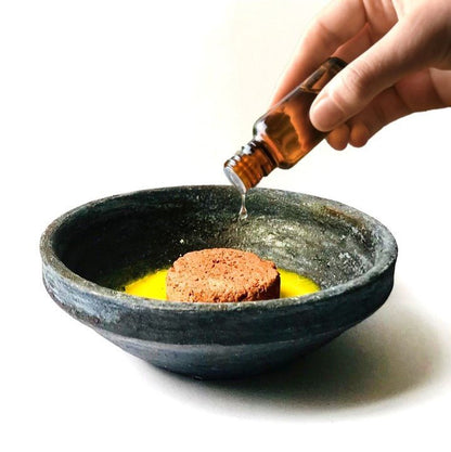 Terracotta Disk Aroma Diffuser with Clay Bowl | Blue - Citrus Fresh Fragrance | Verified Sustainable by Brown Living™