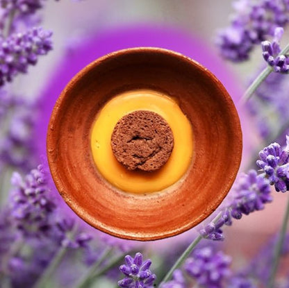 Terracotta Disk Aroma Diffuser with Clay Bowl | Red - Lavender Fragrance | Verified Sustainable by Brown Living™