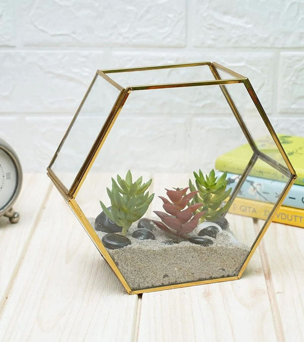 Terrarium Glass Containers(Golden Betel) - with Terrarium Grow Kit | Verified Sustainable by Brown Living™