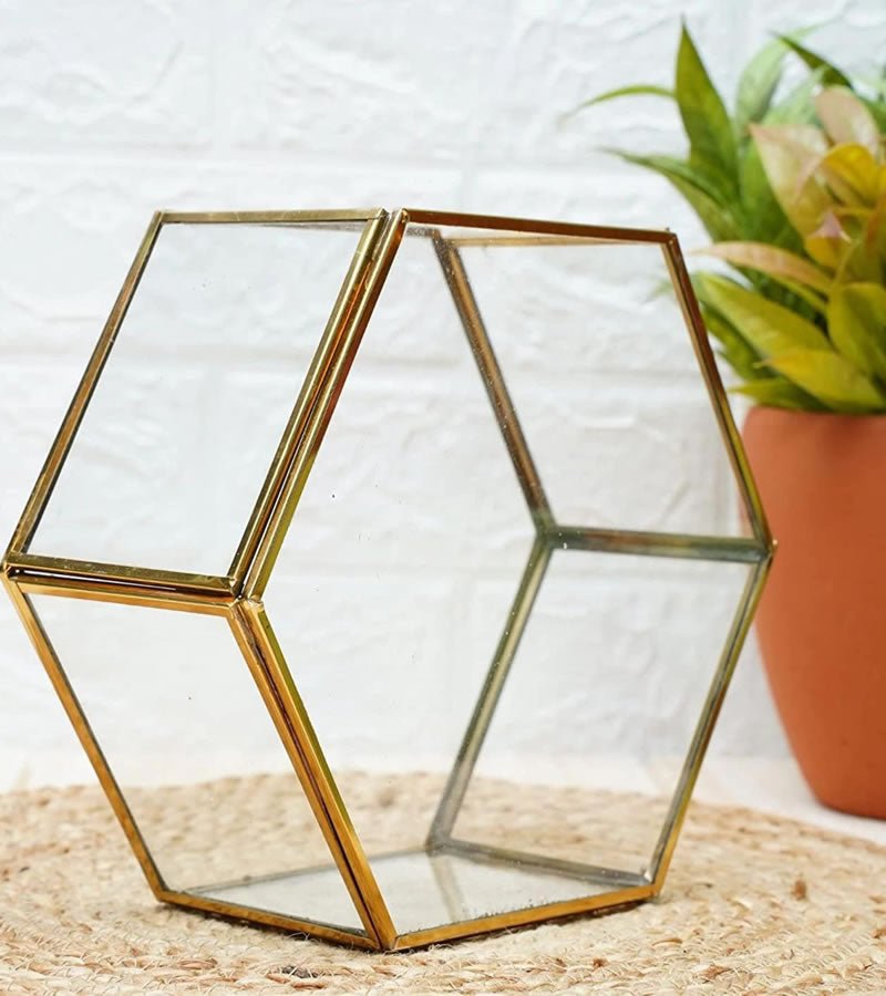 Terrarium Glass Containers(Golden Betel) - with Terrarium Grow Kit | Verified Sustainable by Brown Living™