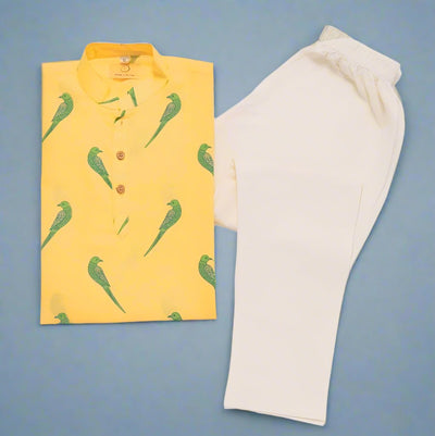 Tiya Parrot - Boys Ethnic Wear – Kids Ethnic Sets on Brown Living™. SKU: MITHEW - 042B - 1. Img 2.