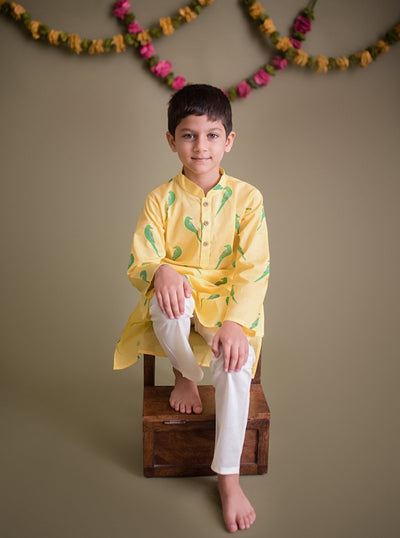 Tiya Parrot - Boys Ethnic Wear – Kids Ethnic Sets on Brown Living™. SKU: MITHEW - 042B - 1. Img 1.