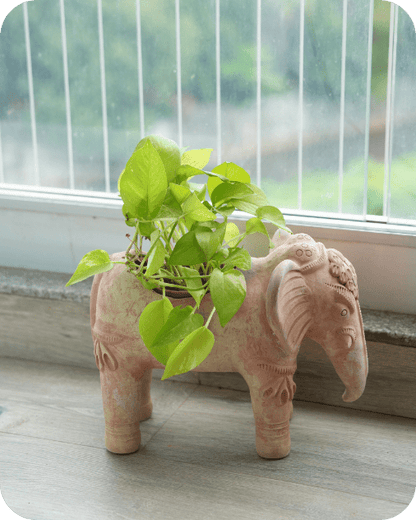 Traditional Elephant Earthen Planter – Pots & Planters by Swadeh available on Brown Living™. . SKU: A0_plt_0051. Img 2.