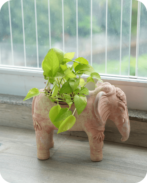 Traditional Elephant Earthen Planter – Pots & Planters by Swadeh available on Brown Living™. . SKU: A0_plt_0051. Img 2.