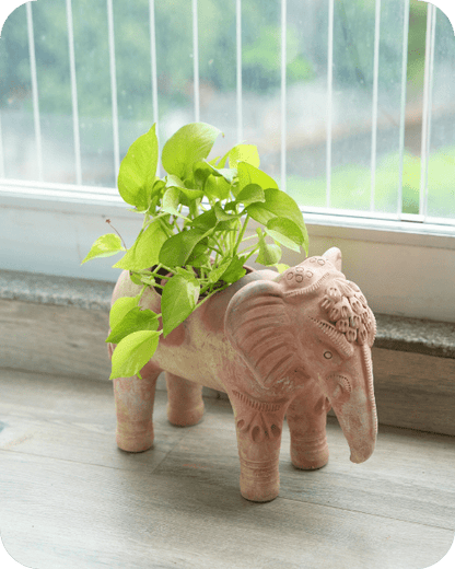 Traditional Elephant Earthen Planter – Pots & Planters by Swadeh available on Brown Living™. . SKU: A0_plt_0051. Img 1.