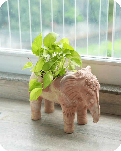 Traditional Elephant Earthen Planter – Pots & Planters by Swadeh available on Brown Living™. . SKU: A0_plt_0051. Img 1.