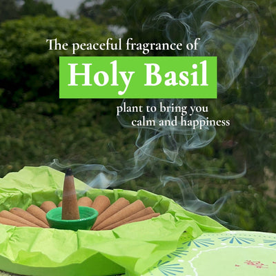 Tulsi Dhoop - Pure Holy Basil Incense Cones – Candles & Fragrances on Brown Living™. SKU: BFD02. Img 7.