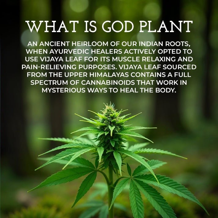 Vijaya Leaf Healing Roll - on – Body Oil on Brown Living™. SKU: VLROCB010L. Img 4.