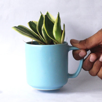 Vyom Recycled Ceramic Desk Planter with holder – Pots & Planters on Brown Living™. SKU: ET - CT - DP - VY. Img 1.