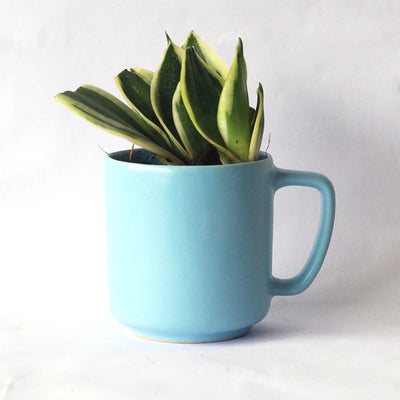 Vyom Recycled Ceramic Desk Planter with holder – Pots & Planters on Brown Living™. SKU: ET - CT - DP - VY. Img 2.