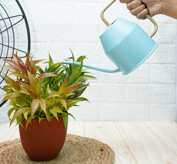 Watering Can For Plants | Terrace Garden Accessories - Sky Blue (0.9 Lt) | Verified Sustainable by Brown Living™