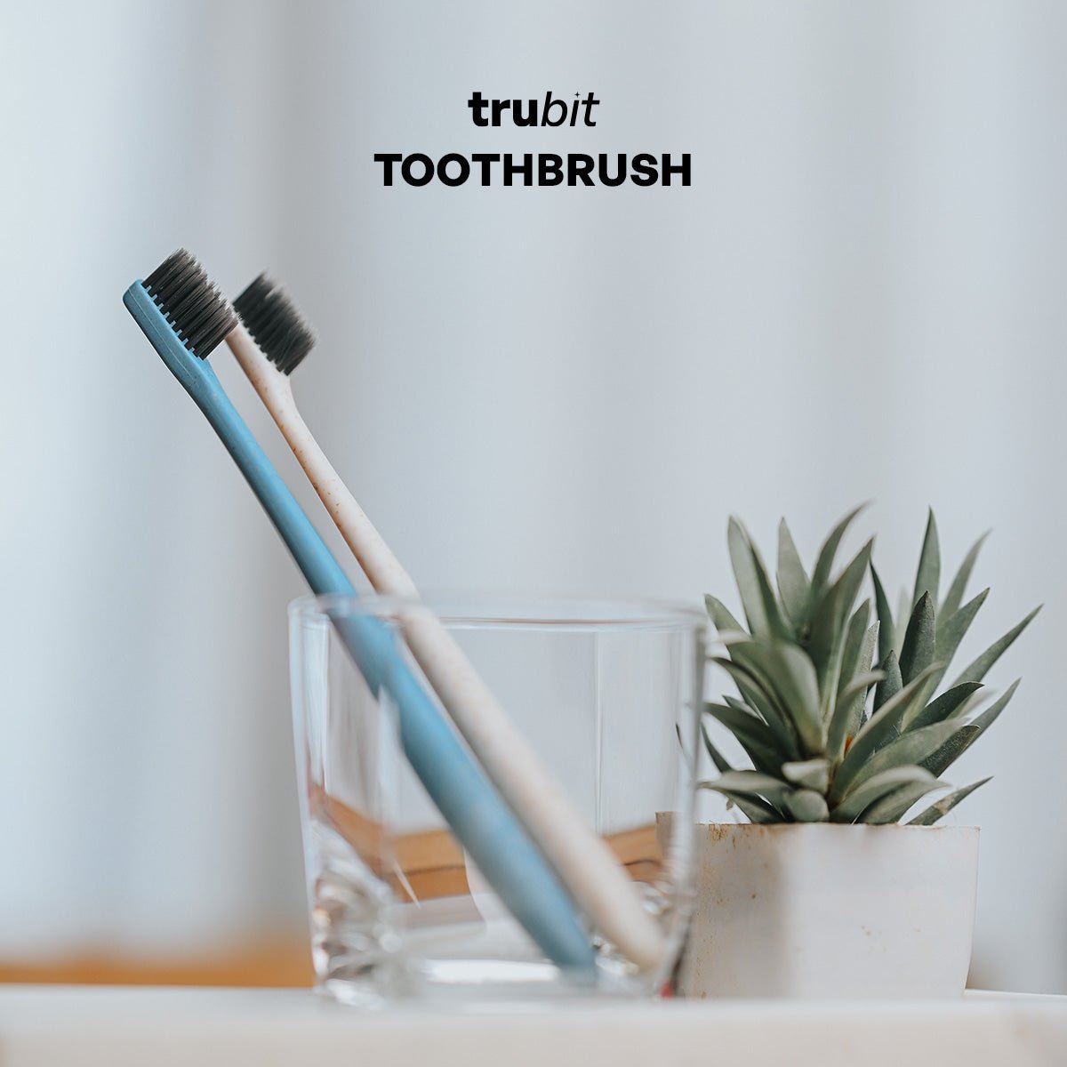 Wheat Straw Toothbrush – Eco - Friendly & Biodegradable Brush – Oral Care on Brown Living™. SKU: 11009N. Img 2.