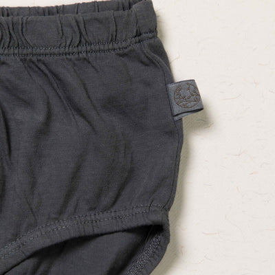 Women Hipster - Plant Dyed - Toxin Free - Anti - Microbial - Pack of 2 – Womens Underwear on Brown Living™. SKU: BVW003BIGXS. Img 11.