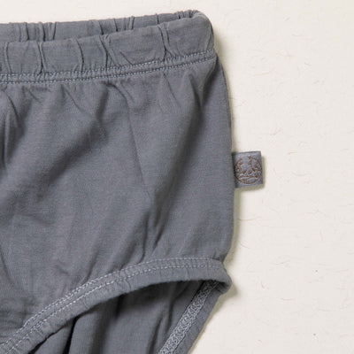 Women Hipster - Plant Dyed - Toxin Free - Anti - Microbial - Pack of 2 – Womens Underwear on Brown Living™. SKU: BVW003BMGS. Img 2.