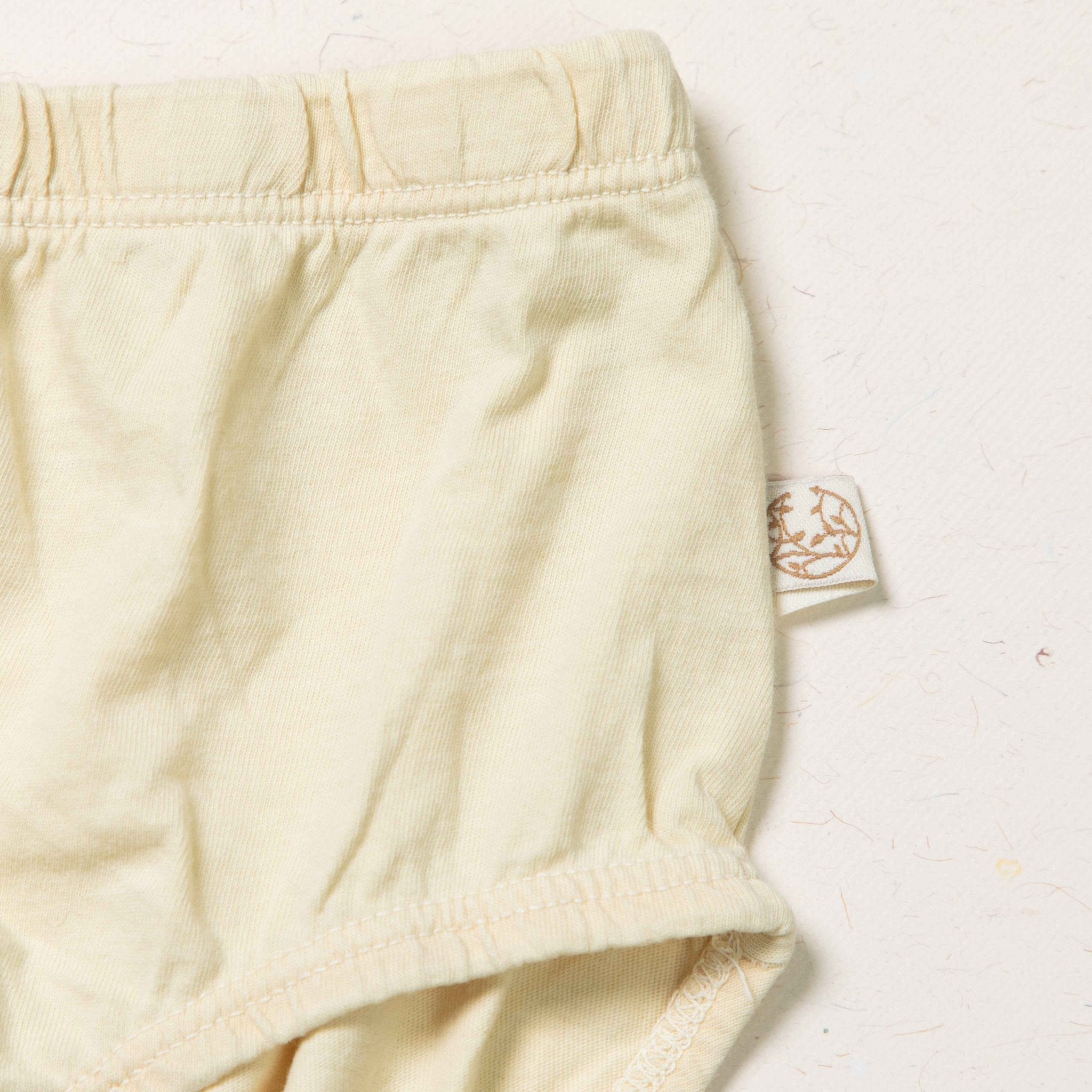 Women Hipster - Plant Dyed - Toxin Free - Anti - Microbial - Pack of 2 – Womens Underwear on Brown Living™. SKU: BVW003YIGXL. Img 3.