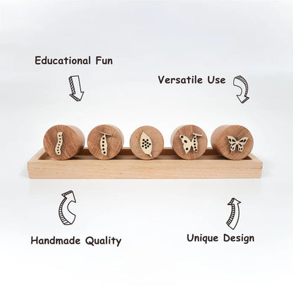 Wooden Butterfly Stamp Set – Craft Stamps for Kids & DIY Projects – Learning & Educational Toys on Brown Living™. SKU: butterflylife. Img 3.
