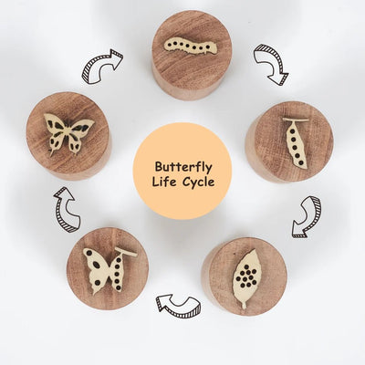 Wooden Butterfly Stamp Set – Craft Stamps for Kids & DIY Projects – Learning & Educational Toys on Brown Living™. SKU: butterflylife. Img 4.