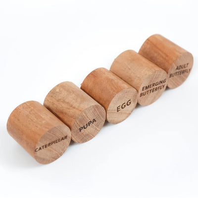 Wooden Butterfly Stamp Set – Craft Stamps for Kids & DIY Projects – Learning & Educational Toys on Brown Living™. SKU: butterflylife. Img 8.