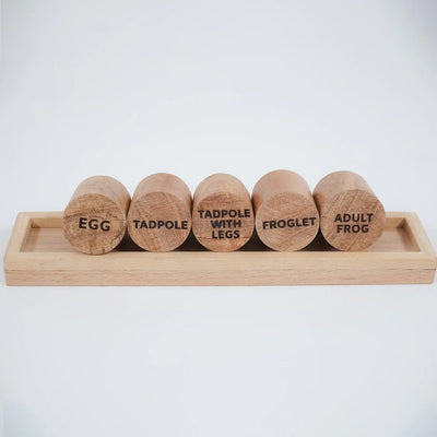 Wooden Frog Stamp Set – Eco - Friendly Montessori Toy for Toddlers – Learning & Educational Toys on Brown Living™. SKU: froglife. Img 6.