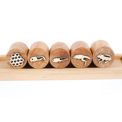 Wooden Frog Stamp Set – Eco - Friendly Montessori Toy for Toddlers – Learning & Educational Toys on Brown Living™. SKU: froglife. Img 1.