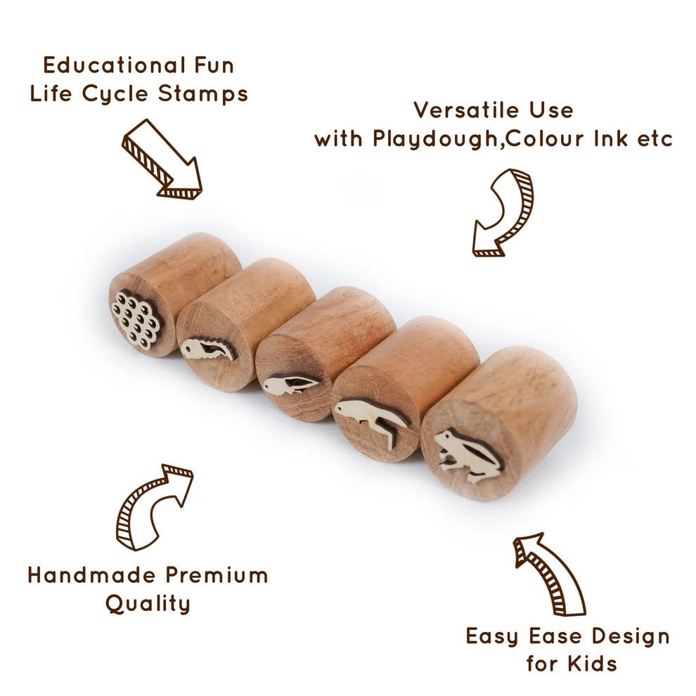 Wooden Frog Stamp Set – Eco - Friendly Montessori Toy for Toddlers – Learning & Educational Toys on Brown Living™. SKU: froglife. Img 3.