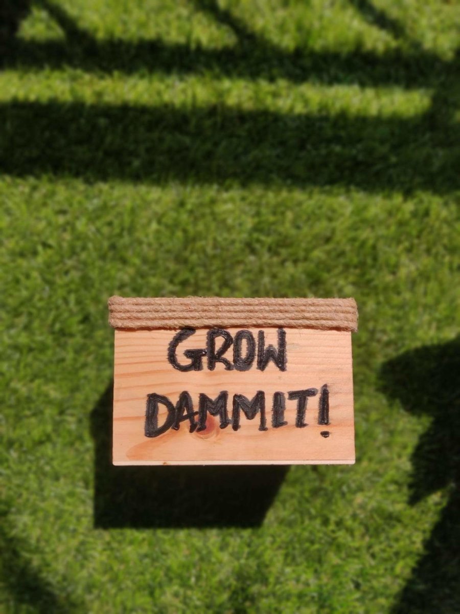 Wooden Planter Box/Square: Grow Dammit | Verified Sustainable by Brown Living™