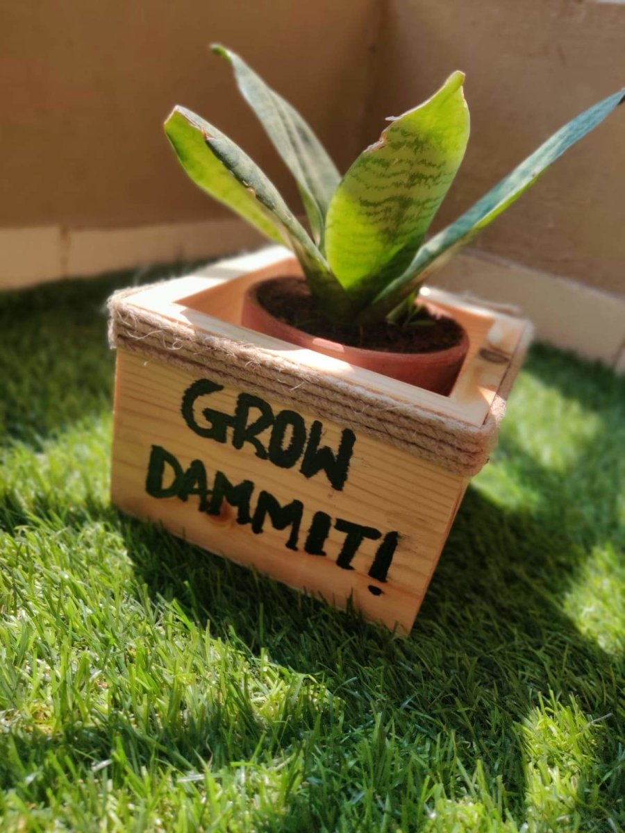 Wooden Planter Box/Square: Grow Dammit | Verified Sustainable by Brown Living™