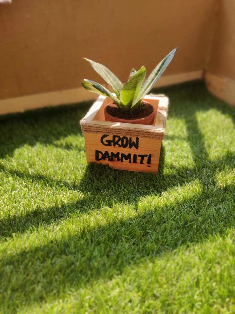 Wooden Planter Box/Square: Grow Dammit | Verified Sustainable by Brown Living™