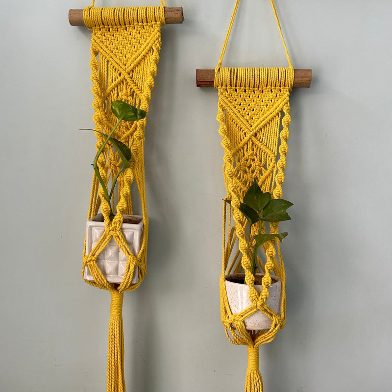 Yellow Macrame Plant Holder - Set of 2 | Verified Sustainable Pots & Planters on Brown Living™