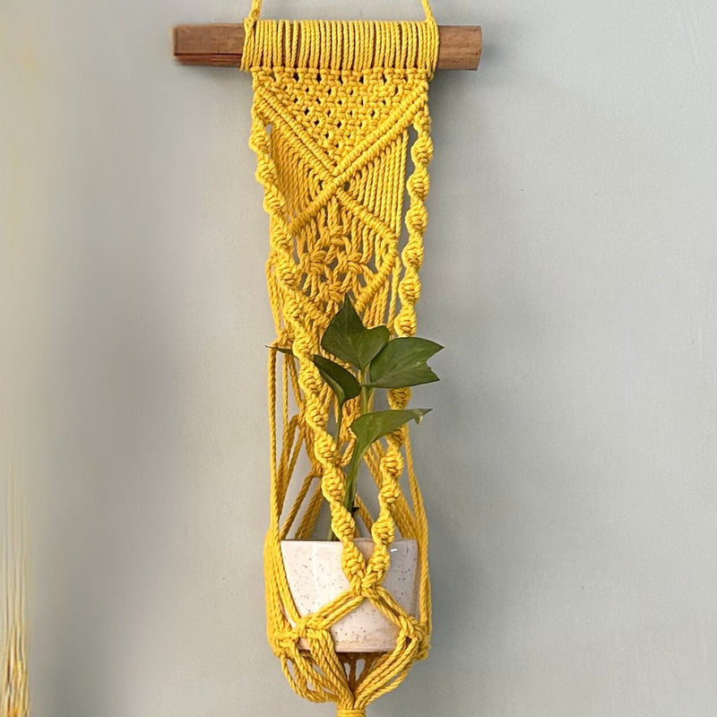 Yellow Macrame Plant Holder - Set of 2 | Verified Sustainable Pots & Planters on Brown Living™