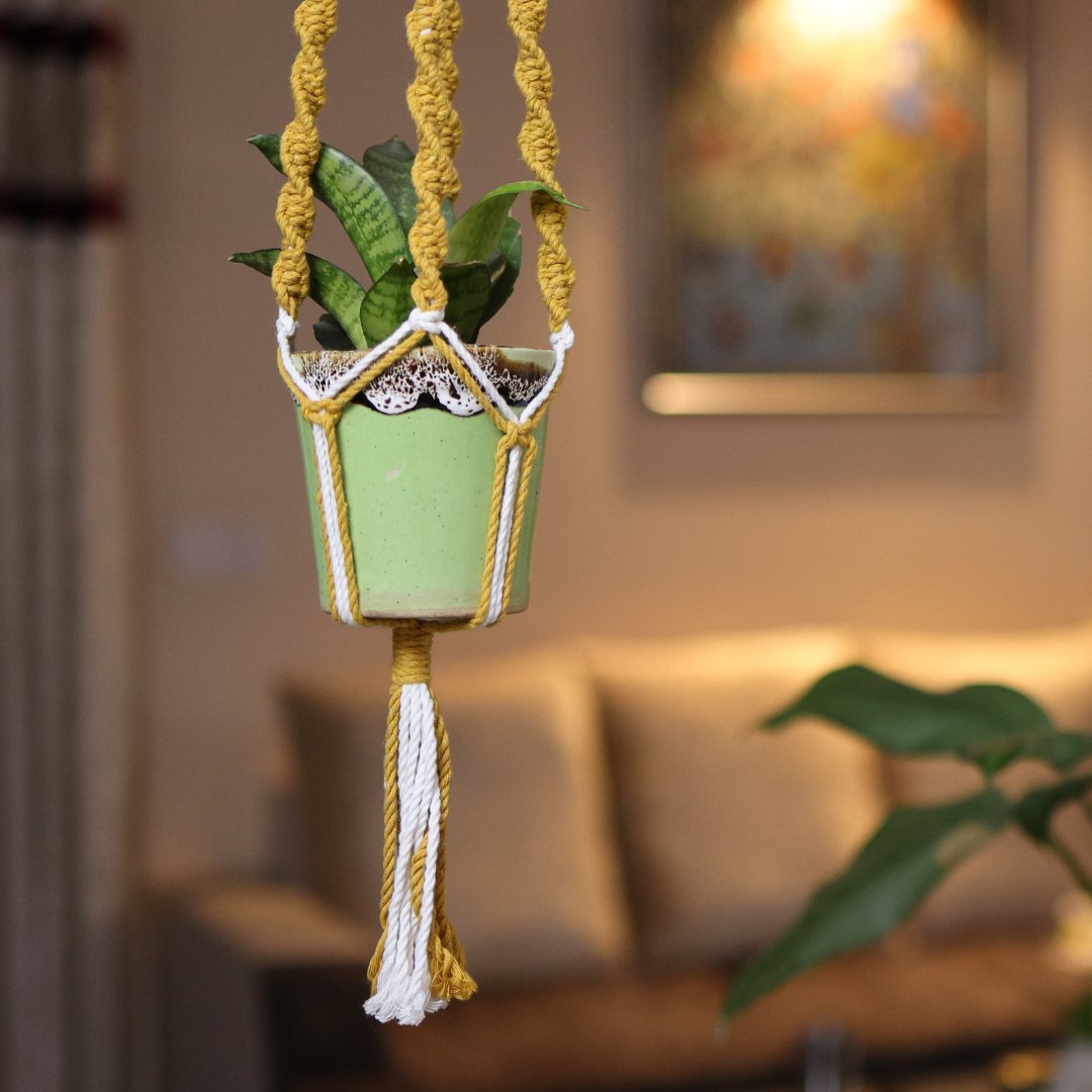 Yellow Web Macrame Plant Holder | Verified Sustainable by Brown Living™