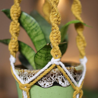 Yellow Web Macrame Plant Holder | Verified Sustainable by Brown Living™