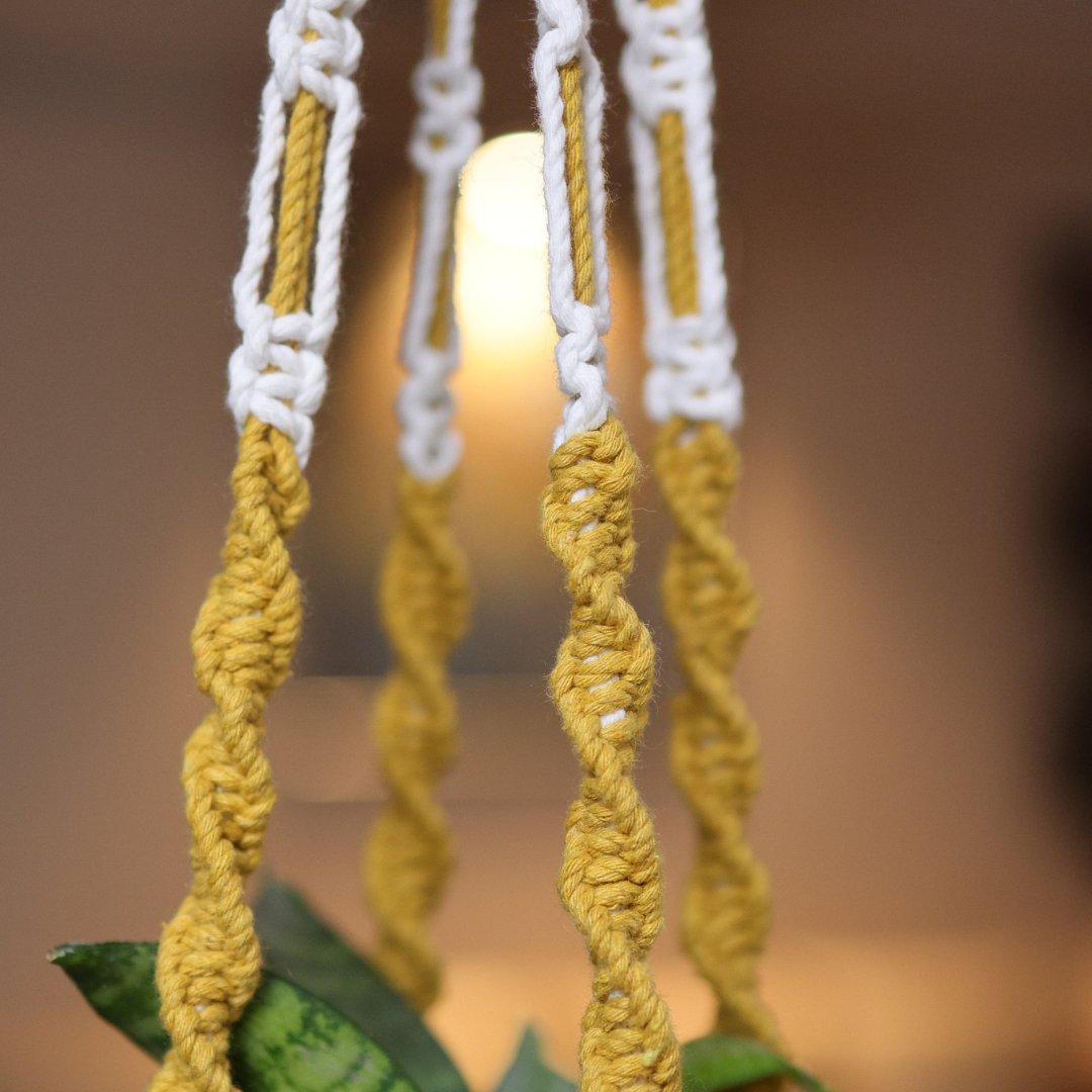 Yellow Web Macrame Plant Holder | Verified Sustainable by Brown Living™