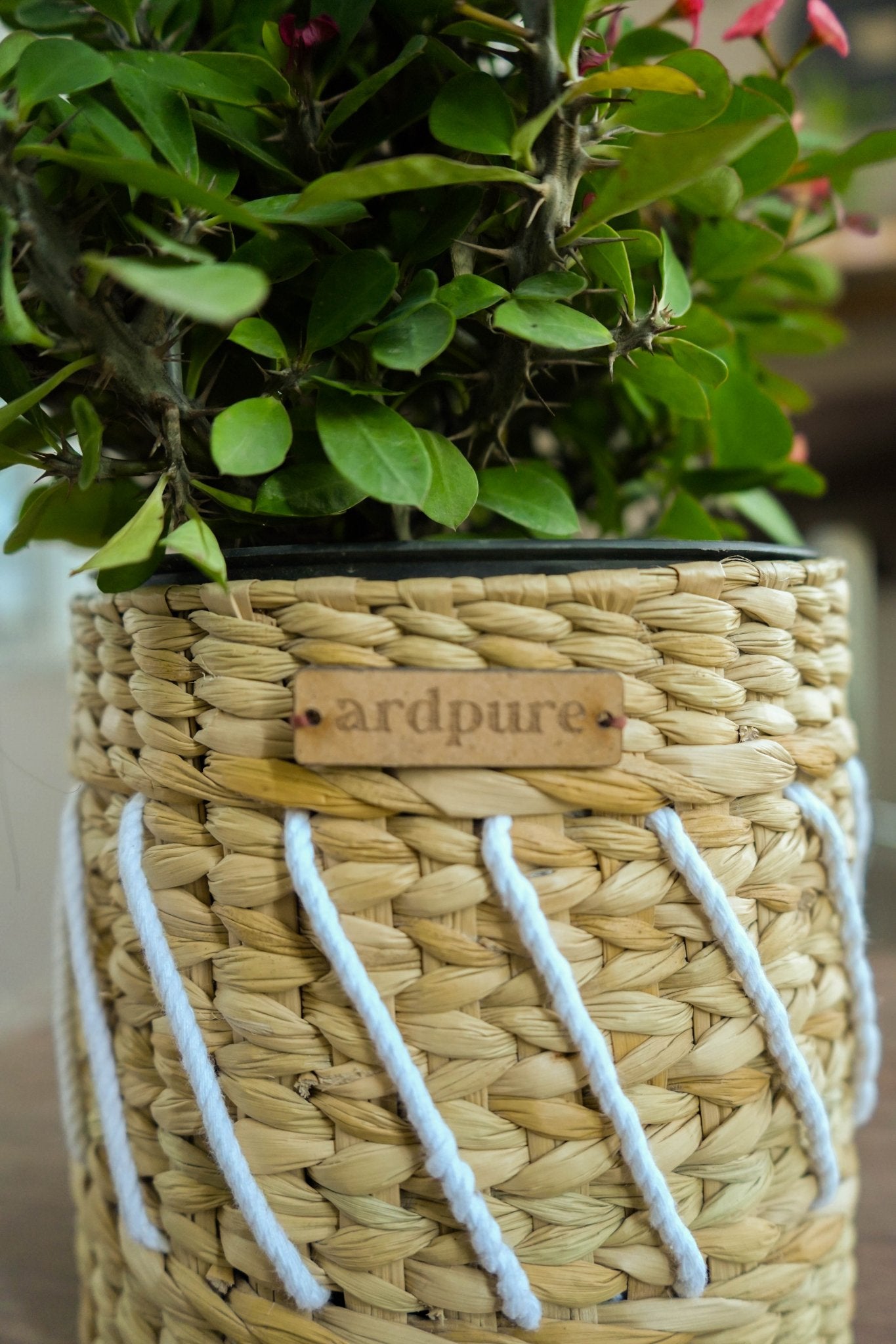 Yuri Kauna Grass Planter | Handwoven Natural & Eco - Friendly Plant Pot – Pots & Planters on Brown Living™. SKU: 908KP. Img 2.
