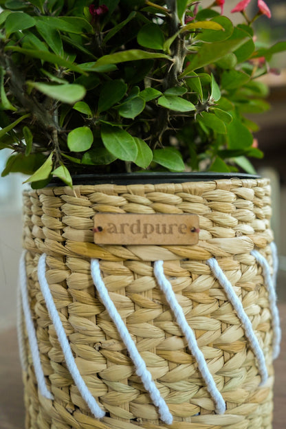 Yuri Kauna Grass Planter | Handwoven Natural & Eco - Friendly Plant Pot – Pots & Planters on Brown Living™. SKU: 908KP. Img 2.