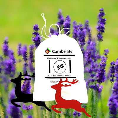 Zero - Waste Camphor Claystone Air Freshener Combo Pack – Fragrance Diffusers on Brown Living™. SKU: ZWCCAFPMUSK1. Img 4.