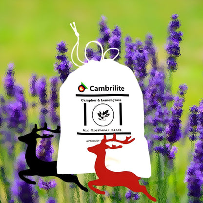 Zero - Waste Camphor Claystone Air Freshener Combo Pack – Fragrance Diffusers by Sprucegel available on Brown Living™. Exotic Musk . SKU: ZWCCAFPMUSK1. Img 4.