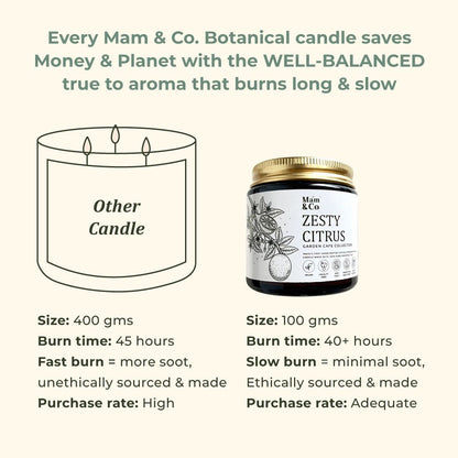 Zesty Citrus - 100% Coconut Wax Botanical Candle | Verified Sustainable by Brown Living™