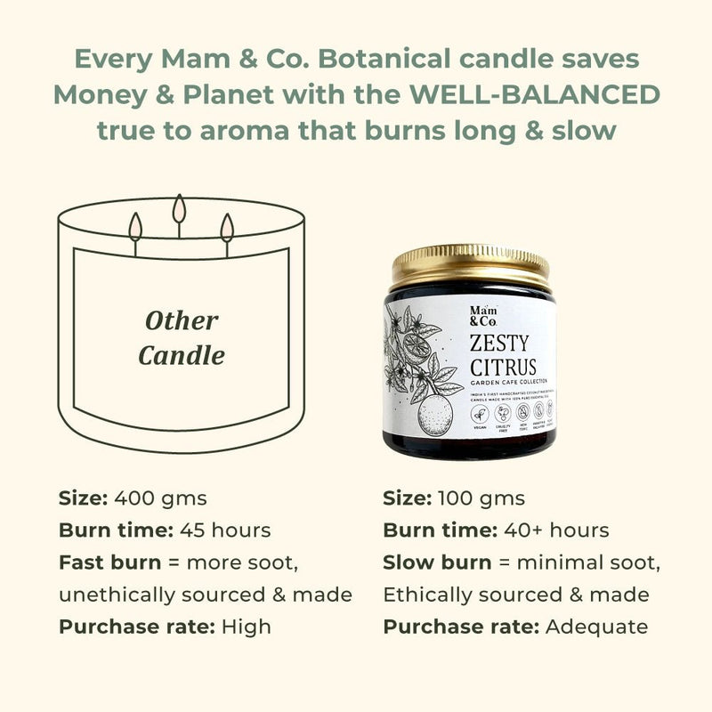 Zesty Citrus - 100% Coconut Wax Botanical Candle | Verified Sustainable Candles & Fragrances on Brown Living™