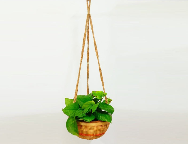 Buy Bamboo Hanging Planter (Jute rope Hanger) 10" | Shop Verified Sustainable Pots & Planters on Brown Living™