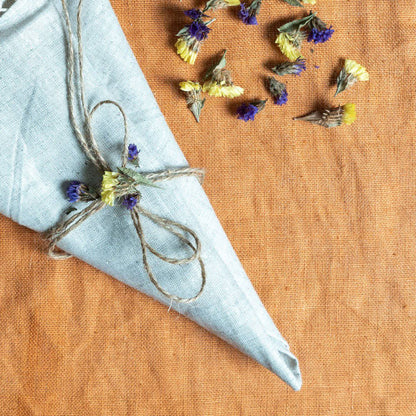 Natural Hemp Colour Napkins - Set of 4/6 | Verified Sustainable by Brown Living™