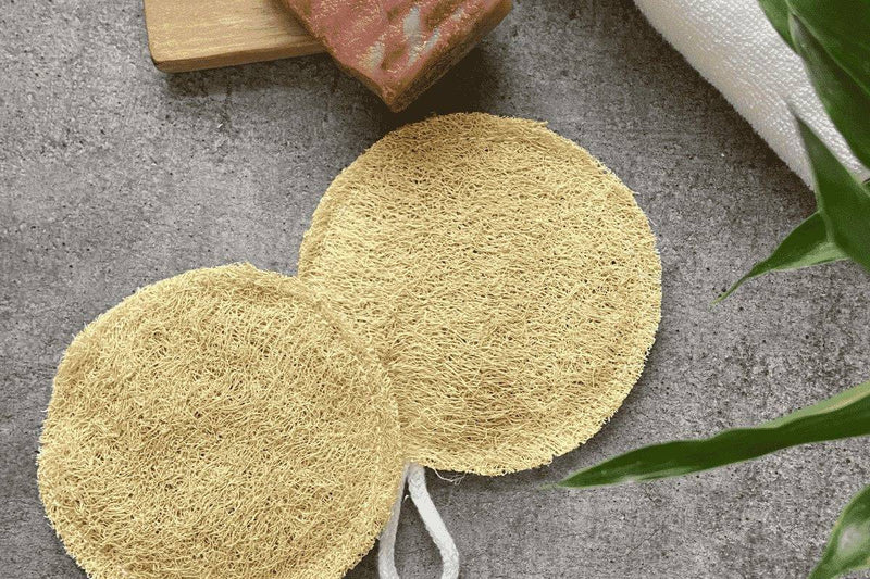 Buy 100% Natural And Plastic-Free Loofah - Pack Of 3 | Shop Verified Sustainable Bath Accessories on Brown Living™