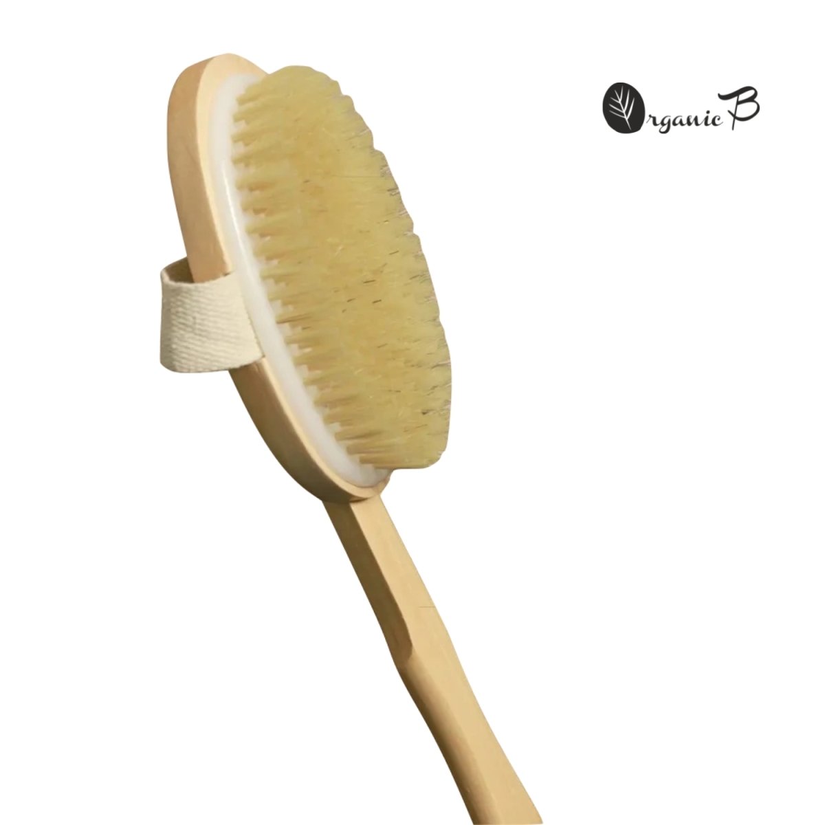 2 - in - 1 Dry Skin Body Brush with 14 inch Removable Wood Handle | Verified Sustainable by Brown Living™