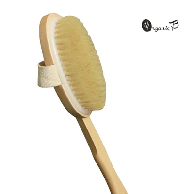 2 - in - 1 Dry Skin Body Brush with 14 inch Removable Wood Handle – Body Scrub on Brown Living™. SKU: ob - 2. Img 2.