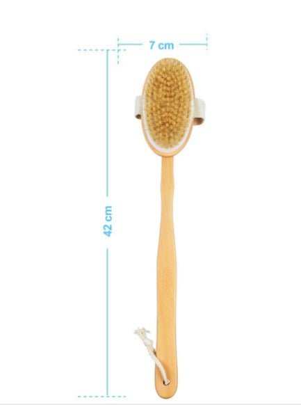 2 - in - 1 Dry Skin Body Brush with 14 inch Removable Wood Handle | Verified Sustainable by Brown Living™