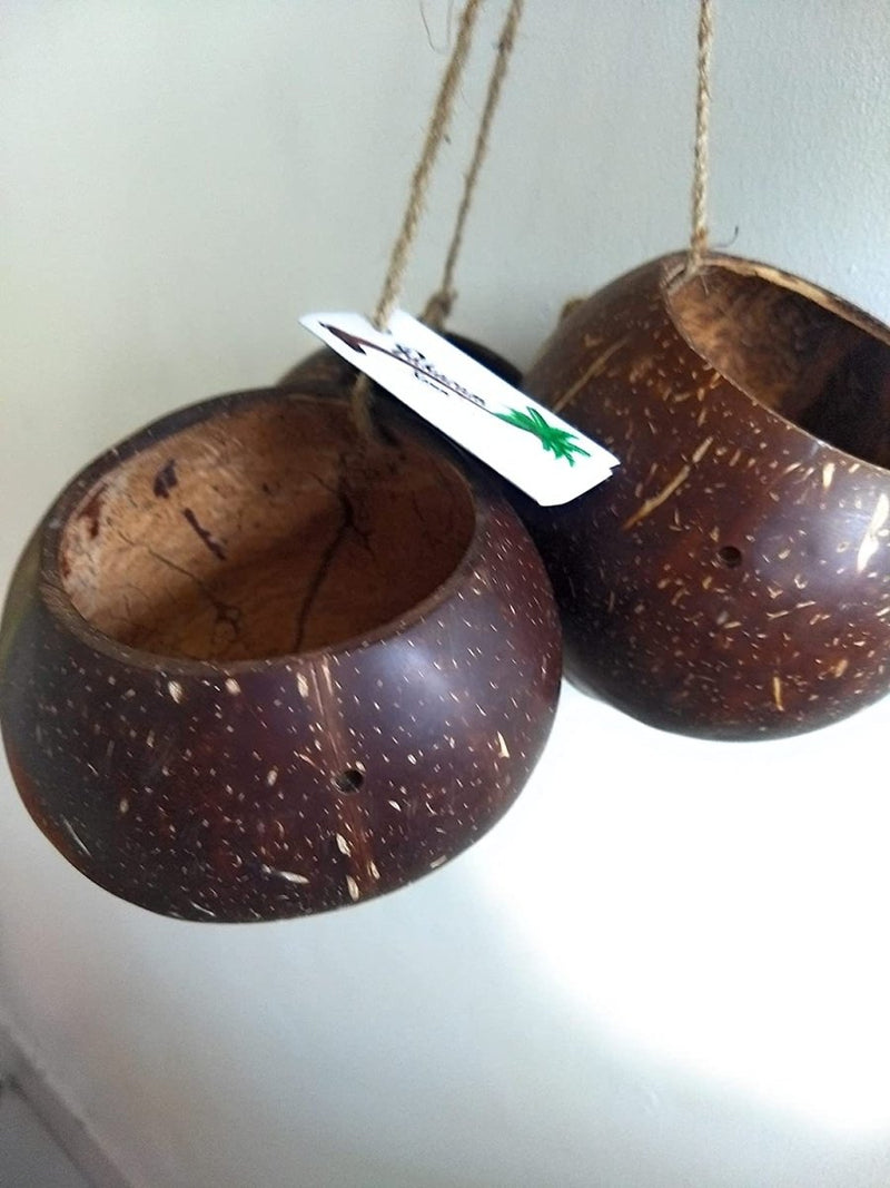 Buy 3 Coconut shell bowls with Jute thread for storage | Shop Verified Sustainable Kitchen Organisers on Brown Living™