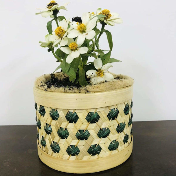 Buy 5" Bamboo Ornamental Plant Pot | Shop Verified Sustainable Pots & Planters on Brown Living™